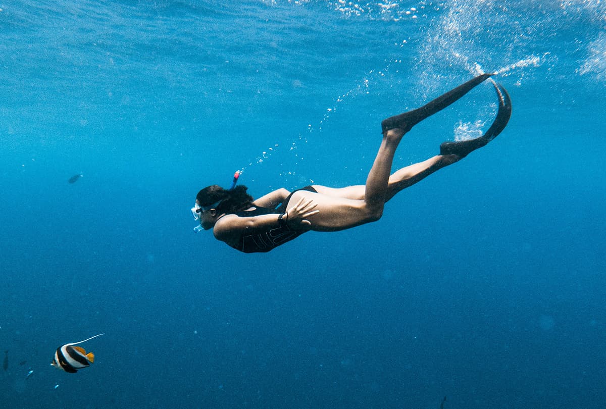 Persona con snorkel y aletas largas nadando hacia el fondo en agua azul clara junto a un pez rayado