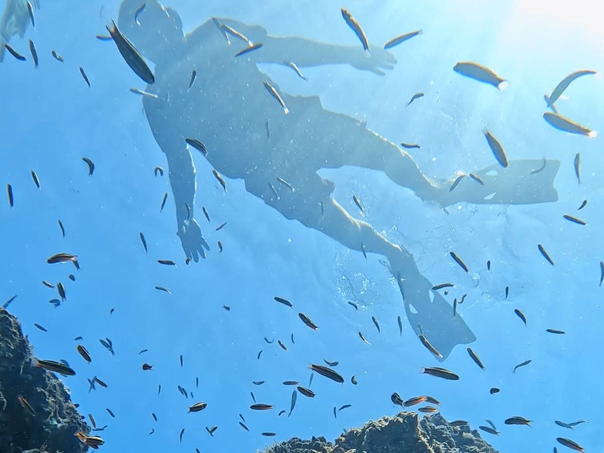 Persona con snorkel vista desde abajo nadando sobre rocas entre un cardumen de peces pequeños